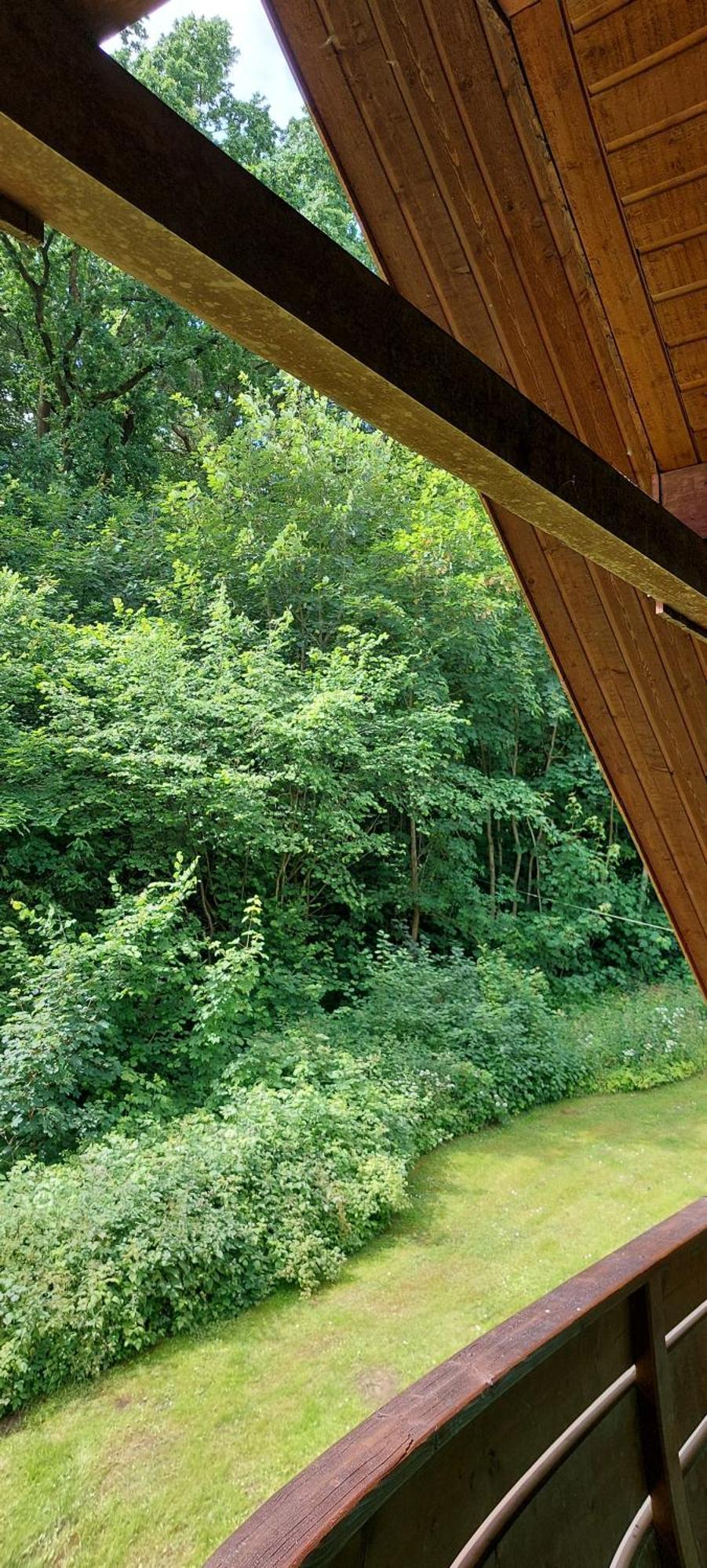 Scharbeutz Waldblick Daire Dış mekan fotoğraf