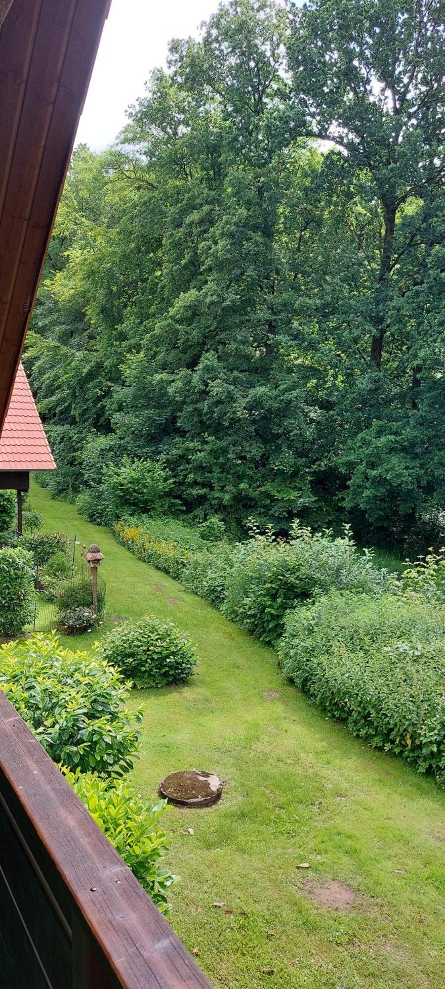 Scharbeutz Waldblick Daire Dış mekan fotoğraf